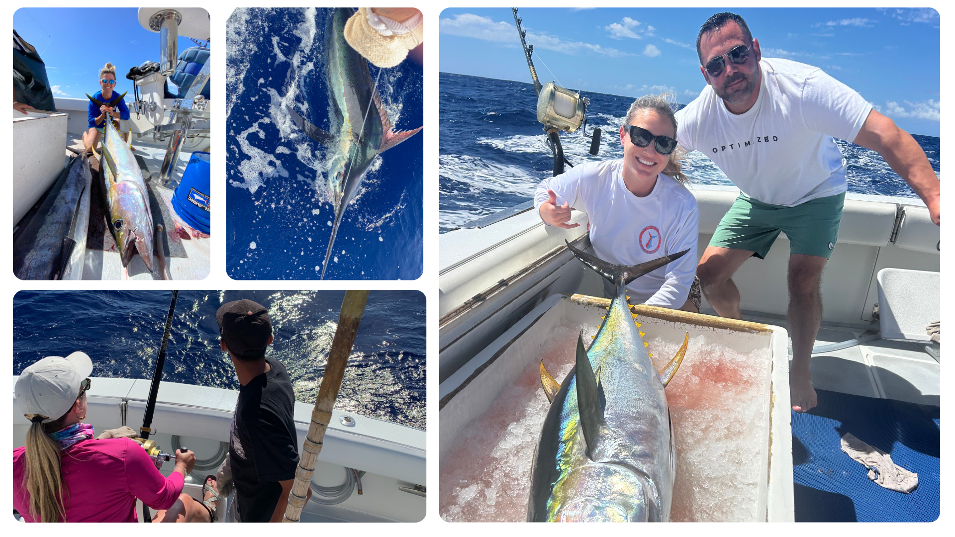 Collage of people on a boat fishing, with caught fish displayed, and one in the ocean.